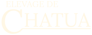 Logo Chatua, élevage de pottock